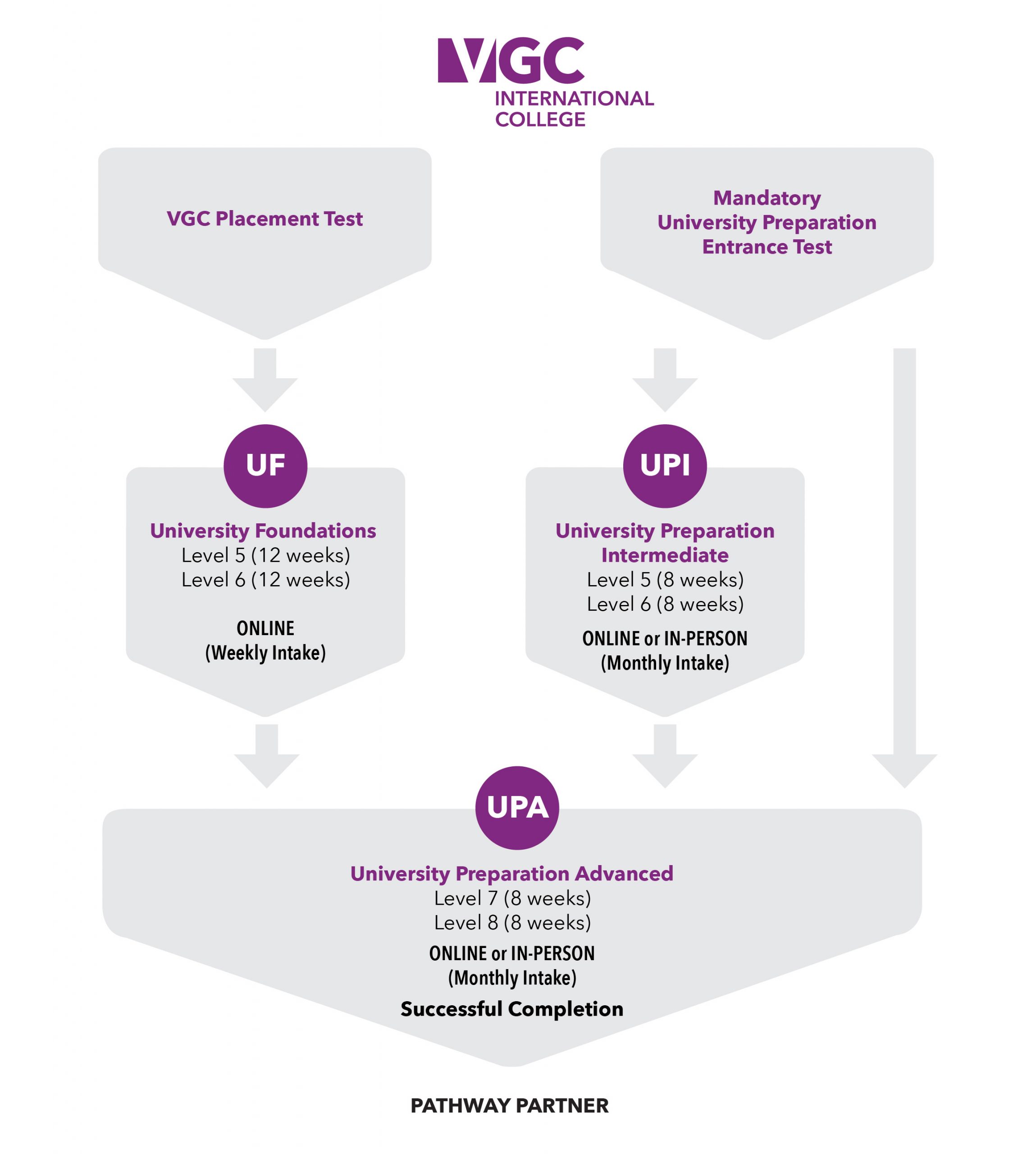 Chart explaining VGC's options for a Pathway to University