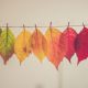 5 Things to do this Fall in Vancouver